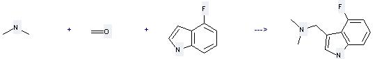 4-Fluoroindole can react with dimethylamine and formaldehyde to get 3-dimethylaminomethyl-4-fluoroindole. 